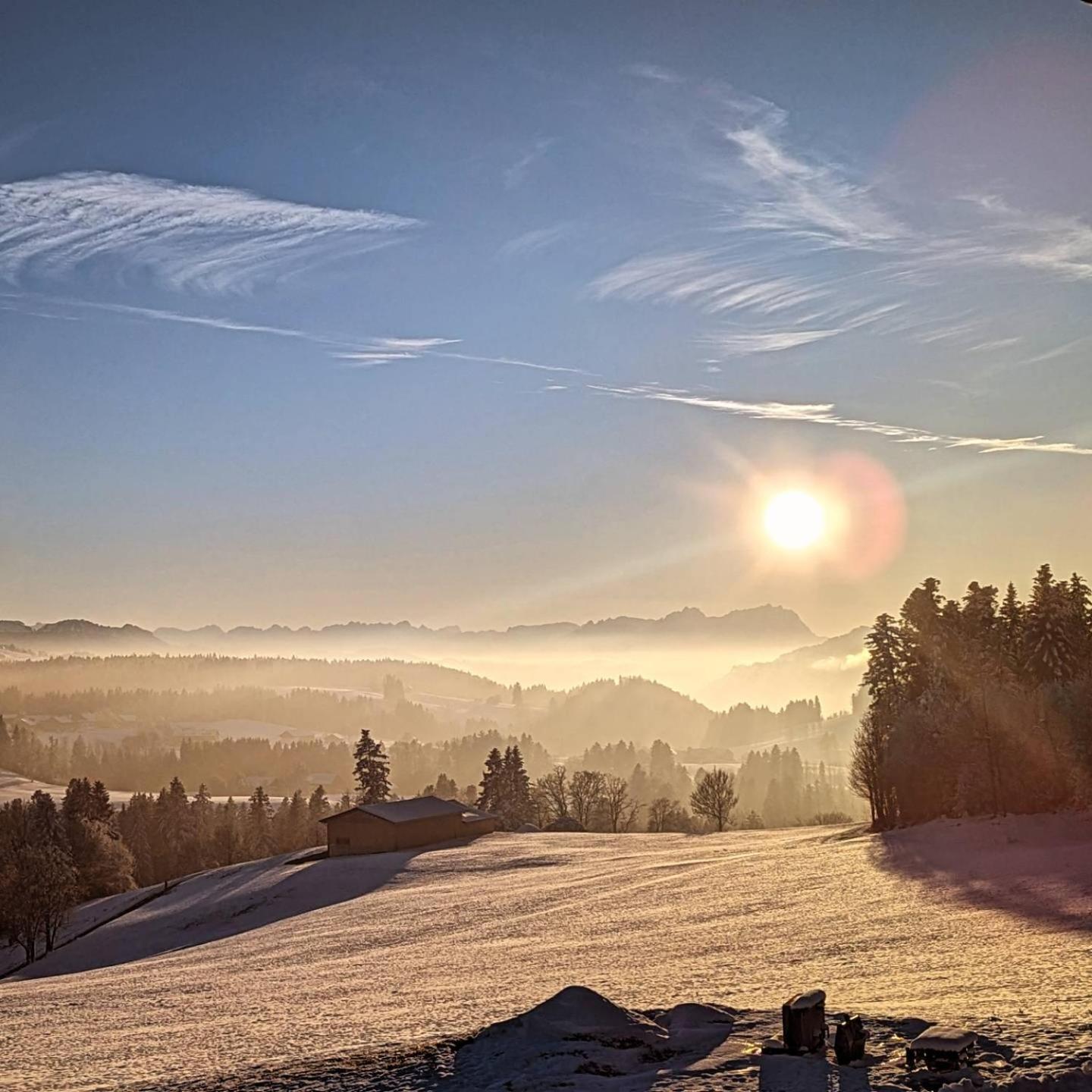 Apartment Alpenblick Dorner Oberreute